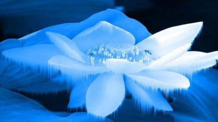 盛放雪莲花——真假通中标新疆伊犁察县农产品追溯项目